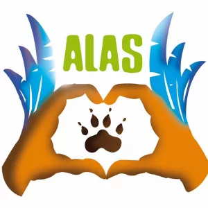 Alas Liebana - Adopciones de perros