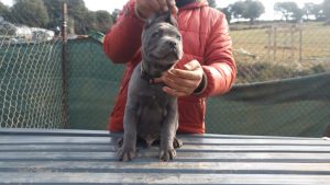 IMG_20220204_142722_20CS