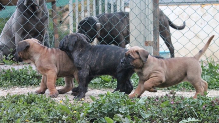 WhatsApp Image 2023-05-17 at 23.34.31 (5)