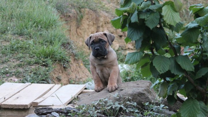 WhatsApp Image 2023-05-17 at 23.34.31