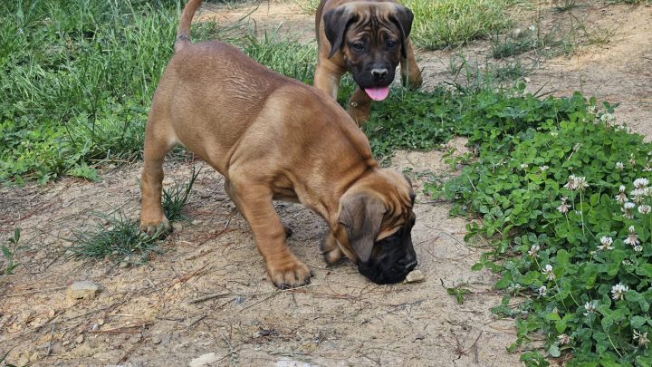 WhatsApp Image 2023-06-15 at 19.28.37