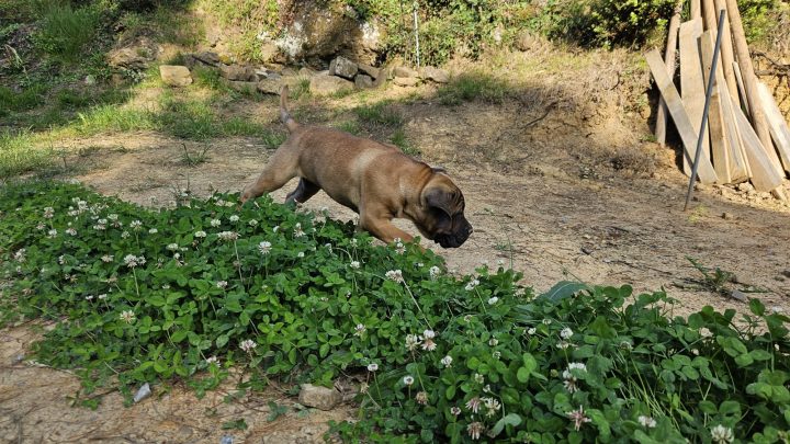 WhatsApp Image 2023-06-15 at 19.28.38