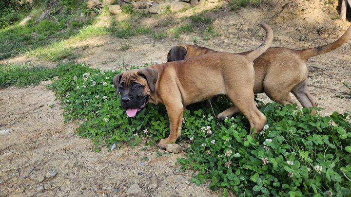 WhatsApp Image 2023-06-15 at 19.28.40 (1)