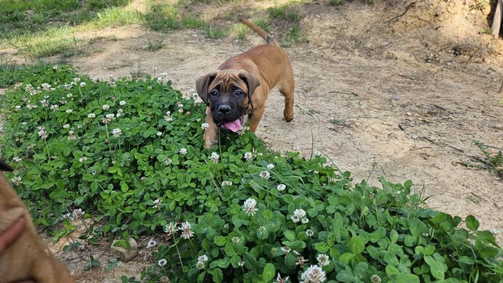 WhatsApp Image 2023-06-15 at 19.28.40 (3)