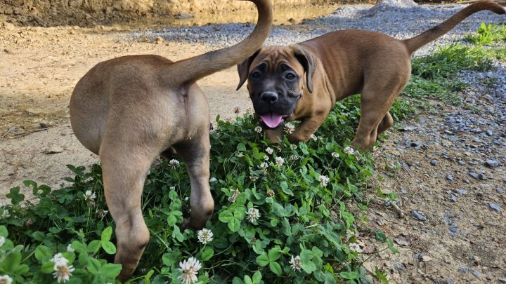 WhatsApp Image 2023-06-15 at 19.28.40