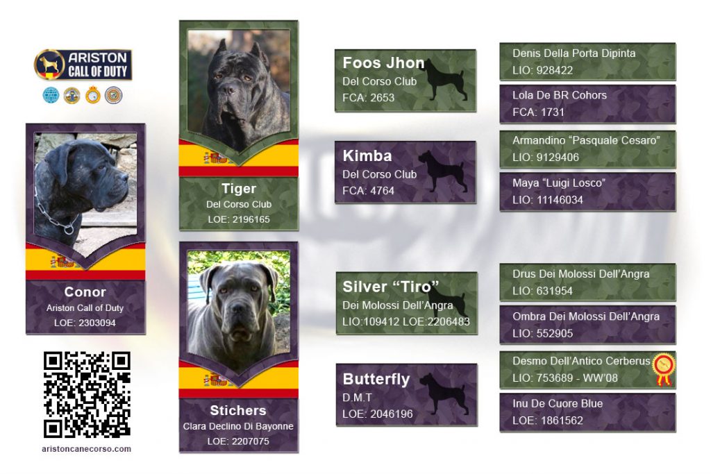 arbol-pedigree-Conor