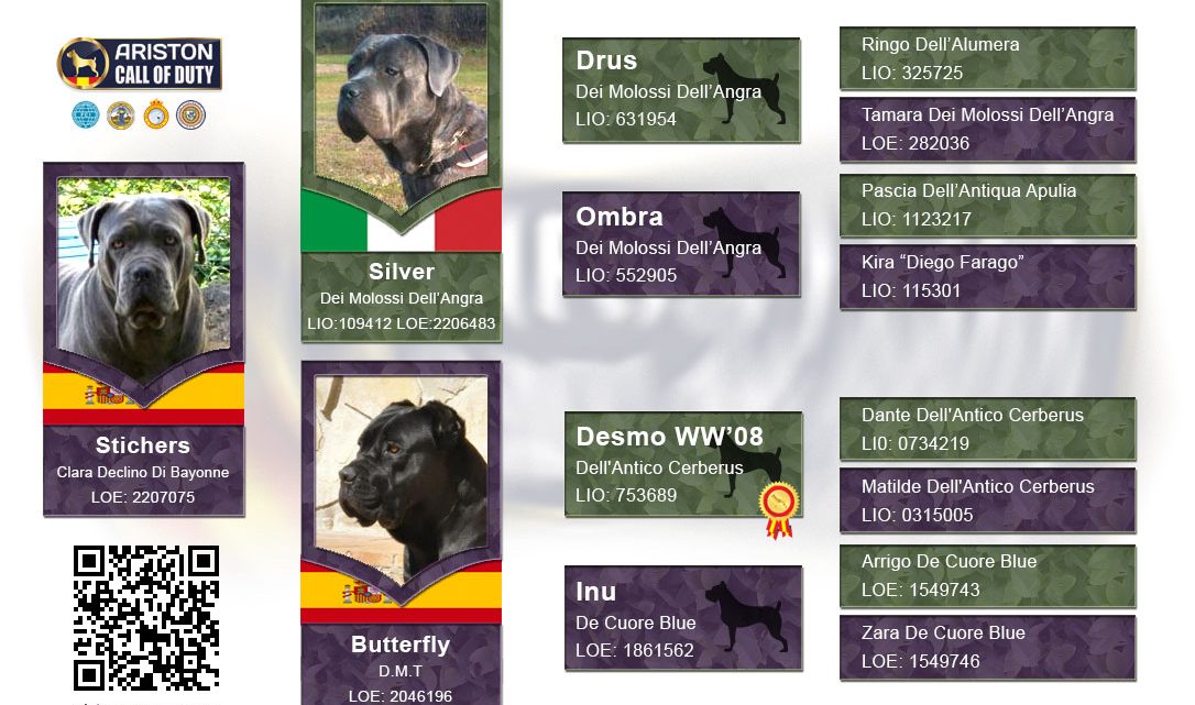 arbol-pedigree-Stichers