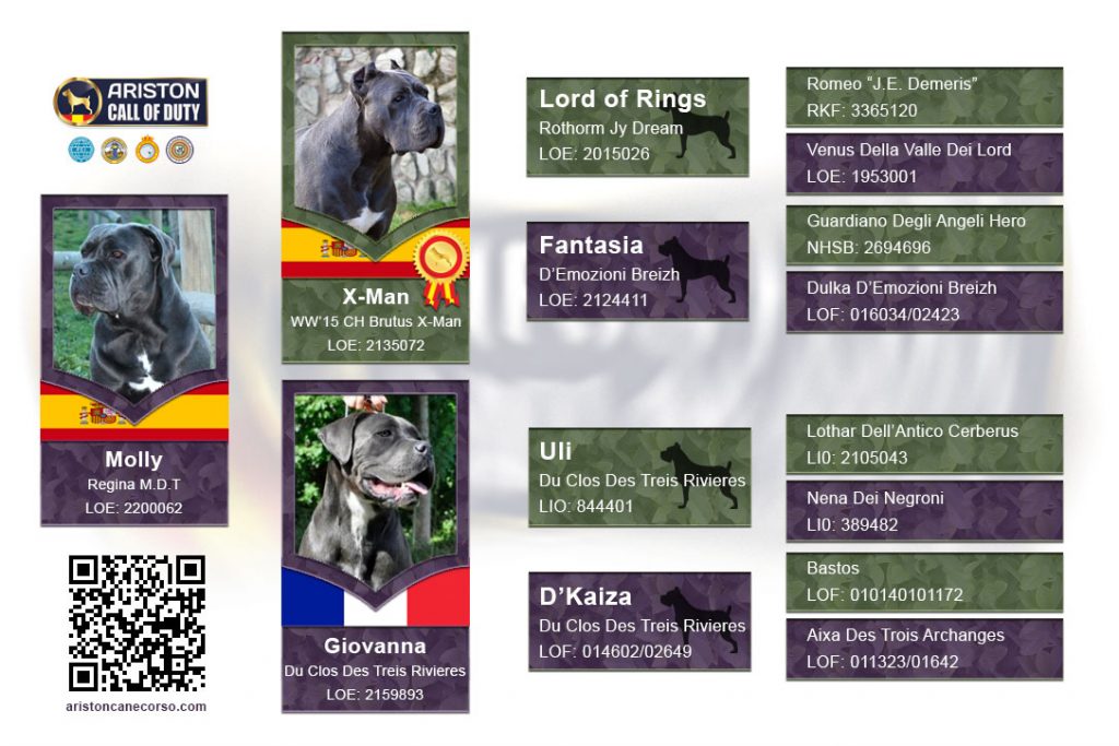 arbol-pedigree-molly