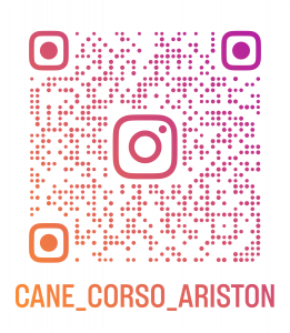 Ariston Cane Corso
